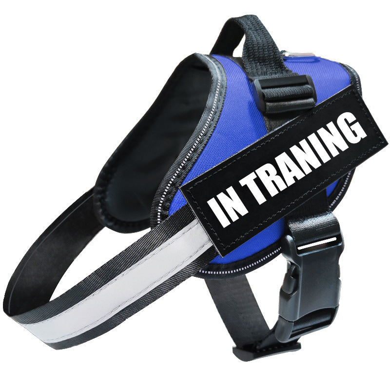 Reflective Dog Leash and Harness Set for Safe Walks - Dogline Supply