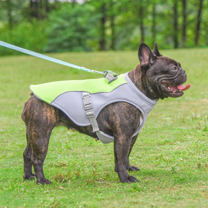 Breathable Dog Cooling Vest for Summer Heat Outdoor Protection - Dogline Supply