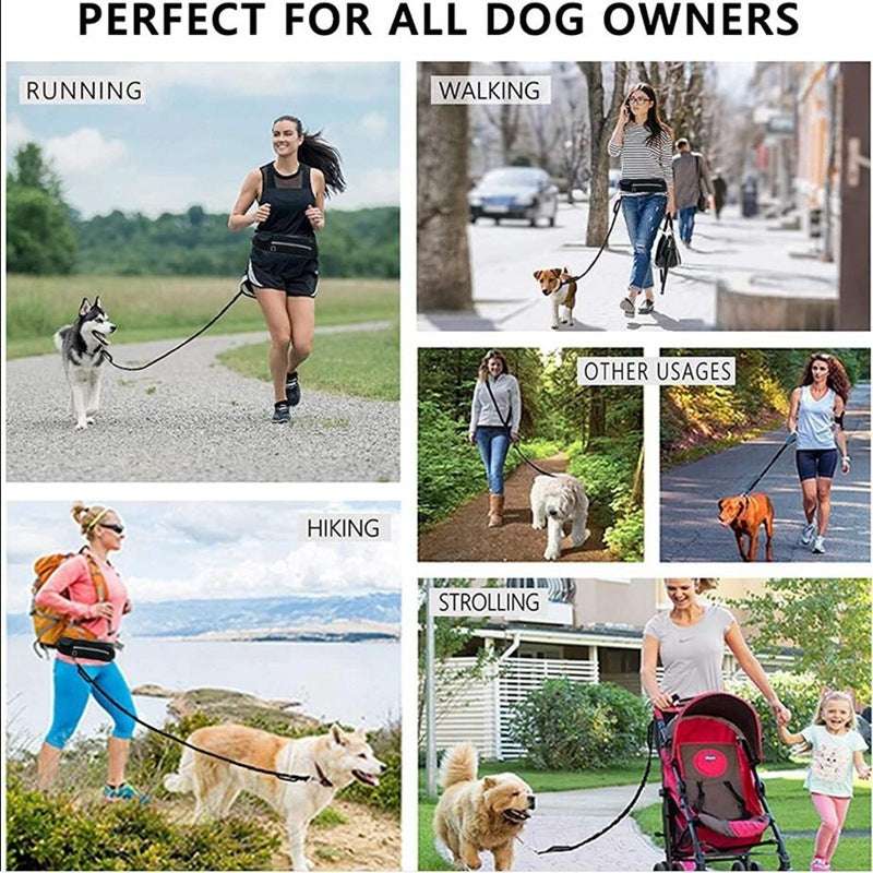 Hands-Free Dog Leash with Bungee, Phone Pocket & Bottle Holder - Dogline Supply