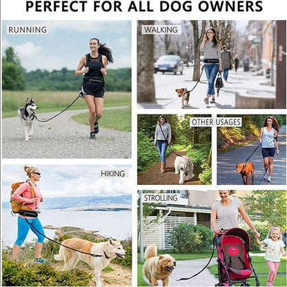 Hands-Free Dog Leash with Bungee, Phone Pocket & Bottle Holder - Dogline Supply