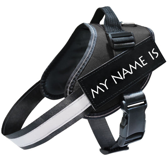 Reflective Dog Leash and Harness Set for Safe Walks - Dogline Supply