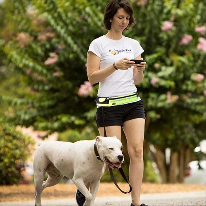 Hands-Free Dog Leash with Bungee, Phone Pocket & Bottle Holder - Dogline Supply