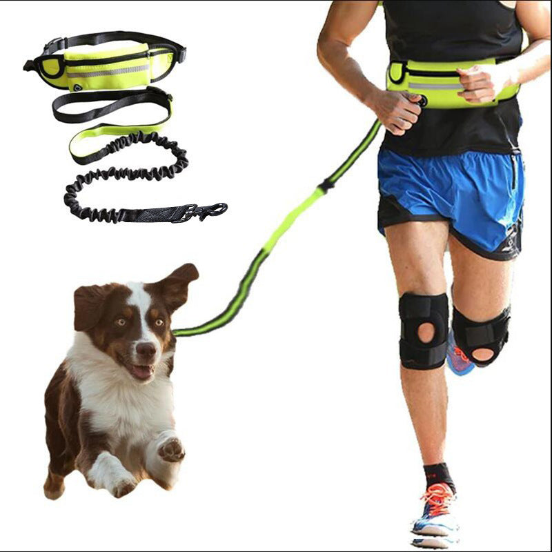Hands-Free Dog Leash with Bungee, Phone Pocket & Bottle Holder - Dogline Supply