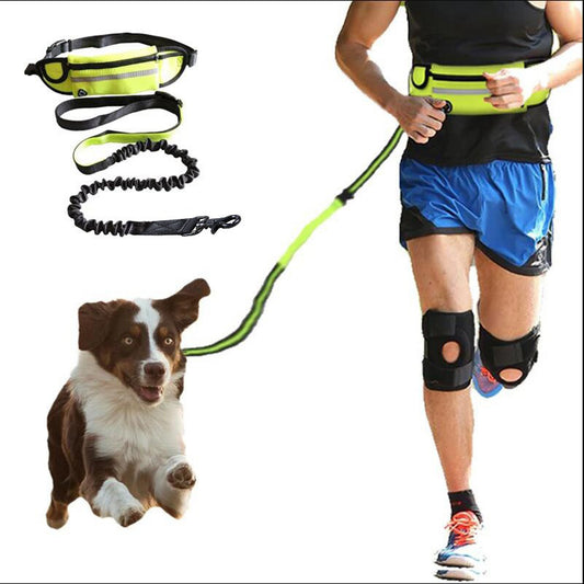 Hands-Free Dog Leash with Bungee, Phone Pocket & Bottle Holder - Dogline Supply