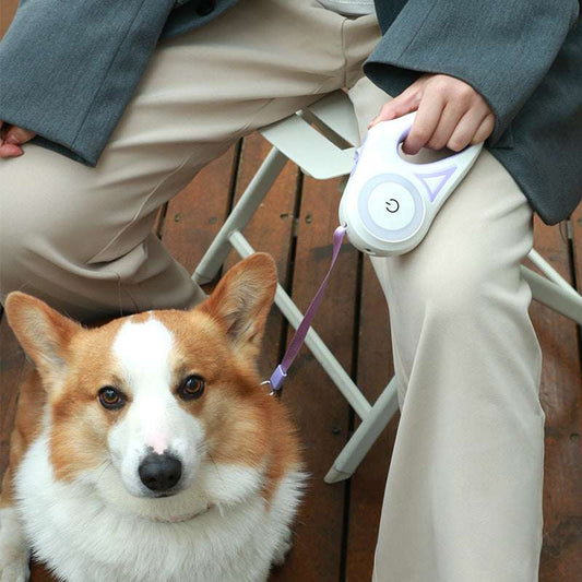 Fantastic Dog Leash with Built-in Spotlight For Extra Safety - Dogline Supply