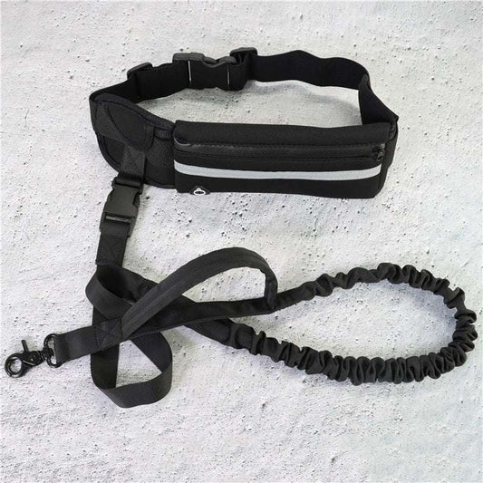 Hands-Free Dog Leash with Bungee, Phone Pocket & Bottle Holder - Dogline Supply